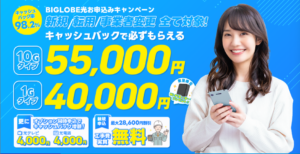 BIGLOBE光 ネクスト