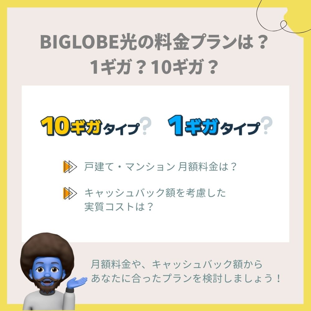 BIGLOBE光の料金プラン