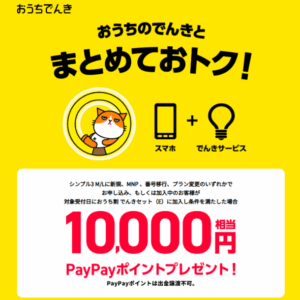 おうち割 でんきセット