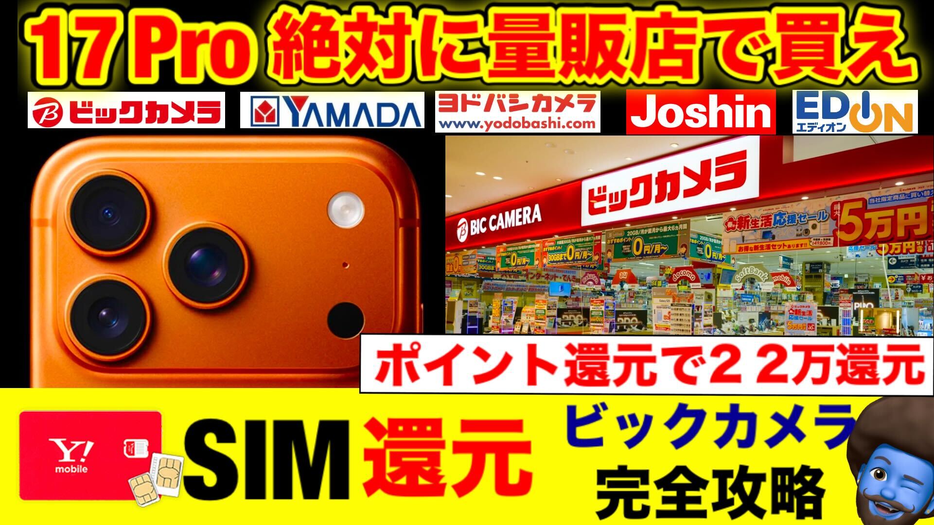 ビックカメラ×ワイモバイルMNP