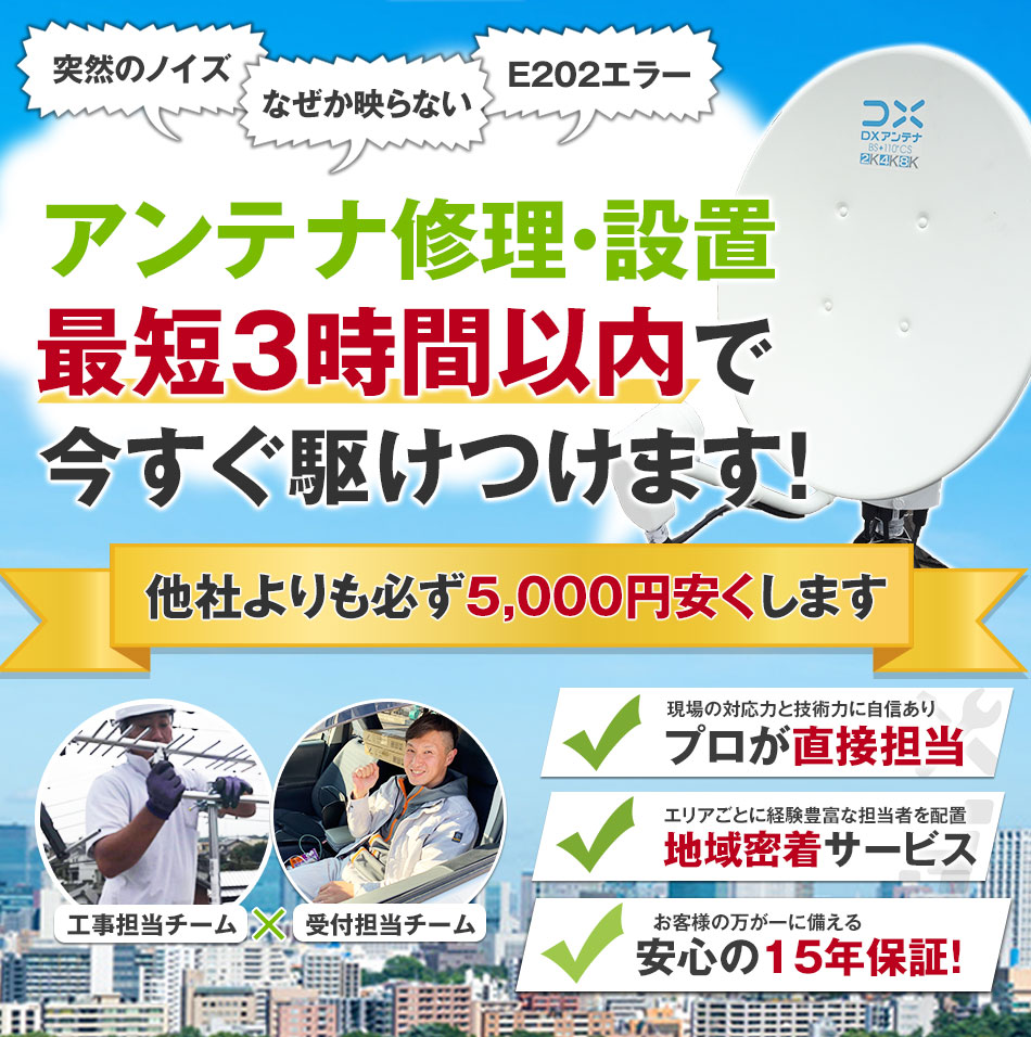 アンテナパンダ