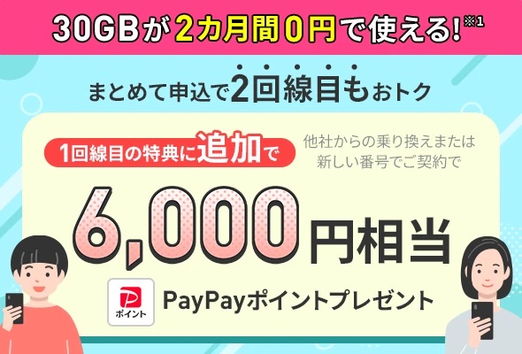 2回線まとめて申し込みキャンペーン