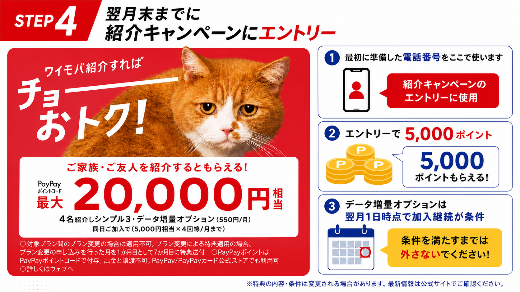 ステップ4:翌月末までに紹介キャンペーンにエントリー(準備した電話番号を使用・5,000pt・データ増量オプションは翌月1日時点で加入継続が条件)